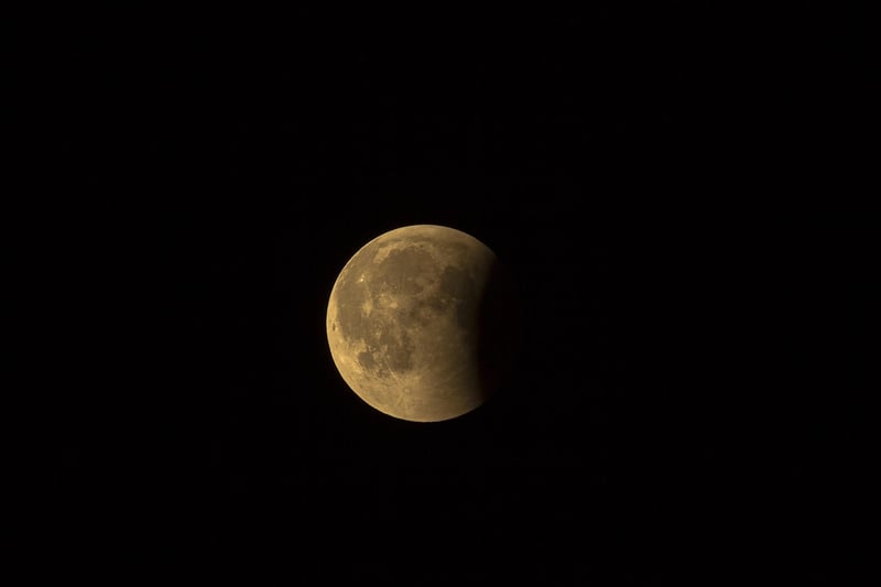 Moon Phases Backdrop