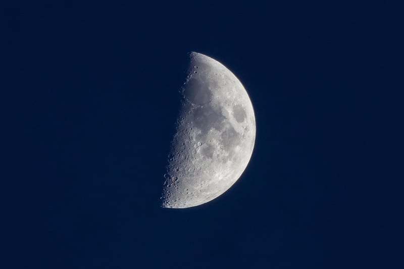 Moon Phases Backdrop